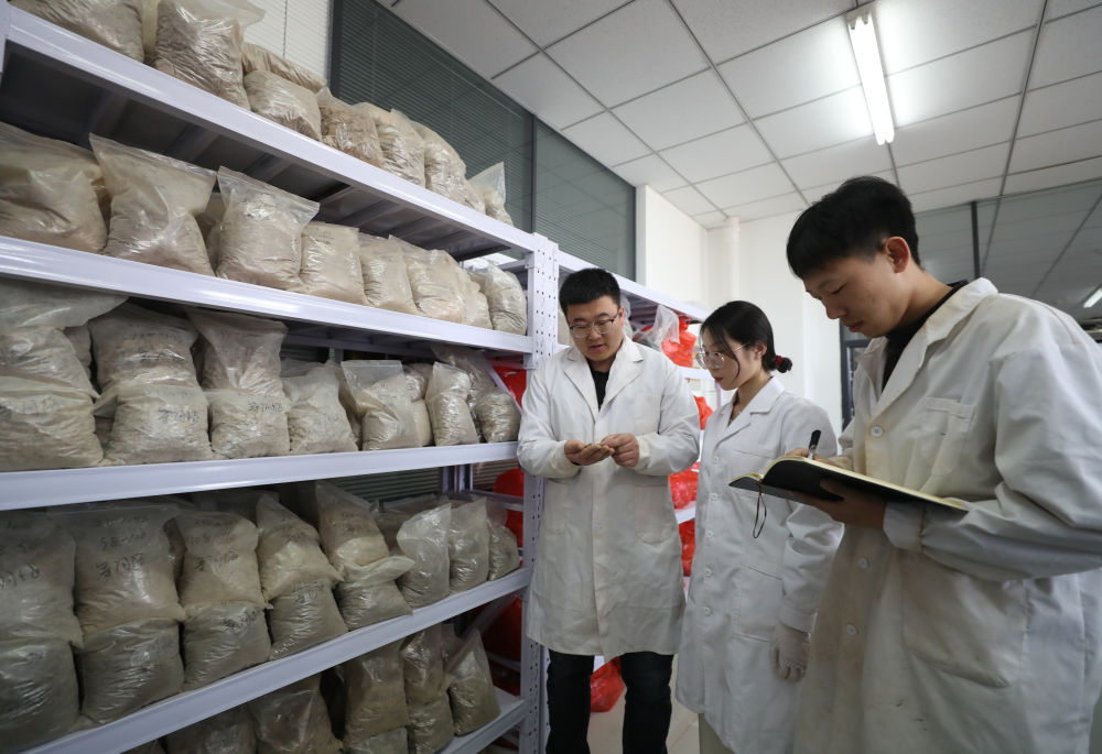 新华全媒＋丨探访yl8858永利集团土肥高效利用国家工程研究中心