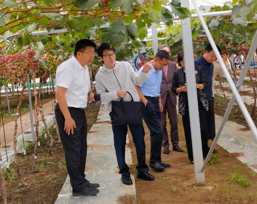 学校党委书记刘广林看望“鲅鱼圈葡萄科技小院”工作学习的我院师生